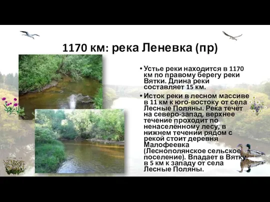 1170 км: река Леневка (пр) Устье реки находится в 1170