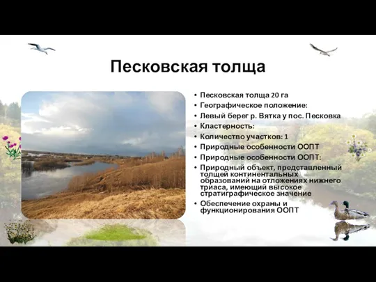 Песковская толща Песковская толща 20 га Географическое положение: Левый берег
