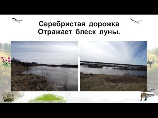 Серебристая дорожка Отражает блеск луны.