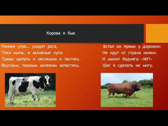 Корова и бык Раннее утро… уходят рога, Встал он прямо