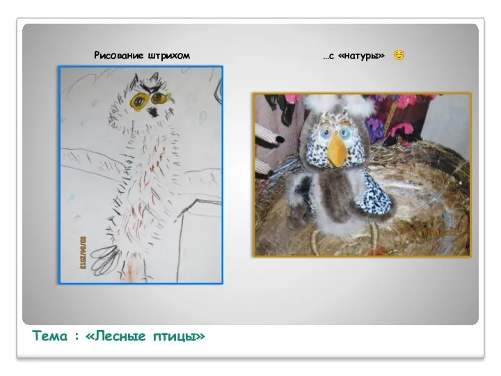 Тема : «Лесные птицы» Рисование штрихом …с «натуры» ☺