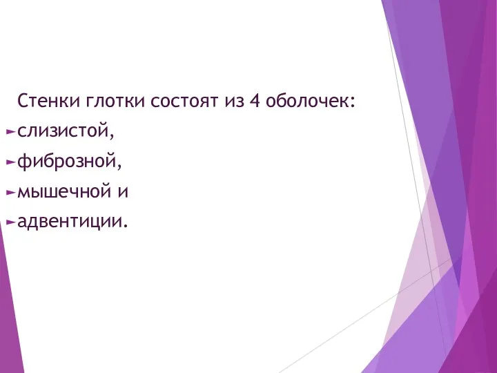 Стенки глотки состоят из 4 оболочек: слизистой, фиброзной, мышечной и адвентиции.