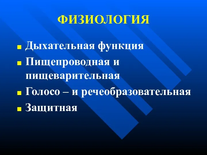 ФИЗИОЛОГИЯ Дыхательная функция Пищепроводная и пищеварительная Голосо – и речеобразовательная Защитная