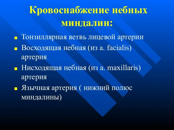 Кровоснабжение небных миндалин: Тонзиллярная ветвь лицевой артерии Восходящая небная (из a. facialis) артерия