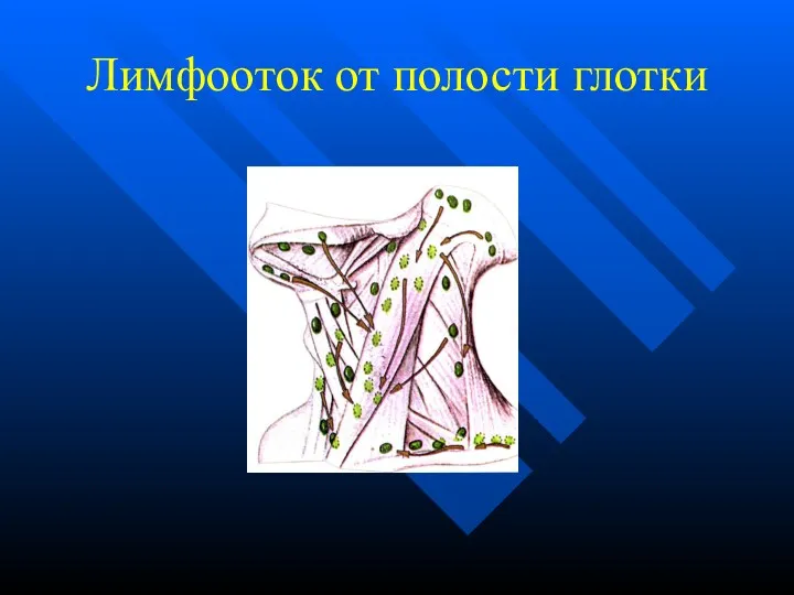 Лимфооток от полости глотки