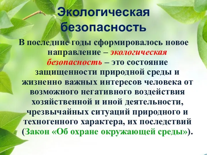 Экологическая безопасность В последние годы сформировалось новое направление – экологическая