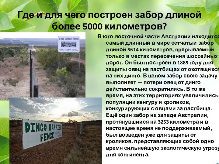 Где и для чего построен забор длиной более 5000 километров?