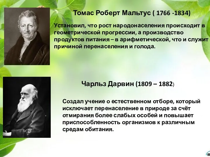 Томас Роберт Мальтус ( 1766 -1834) Установил, что рост народонаселения