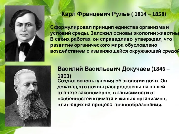 Карл Францевич Рулье ( 1814 – 1858) Сформулировал принцип единства