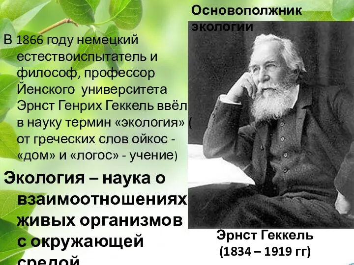 Эрнст Геккель (1834 – 1919 гг) В 1866 году немецкий