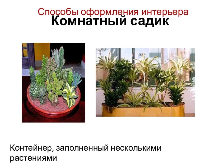 Комнатный садик Контейнер, заполненный несколькими растениями Способы оформления интерьера