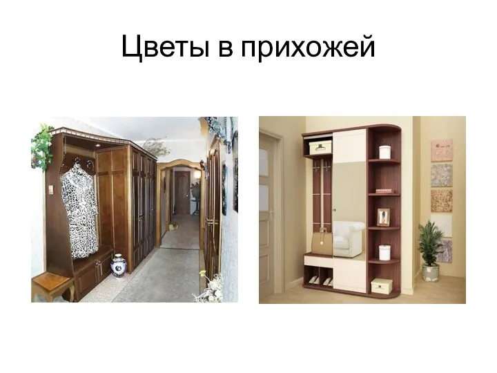 Цветы в прихожей