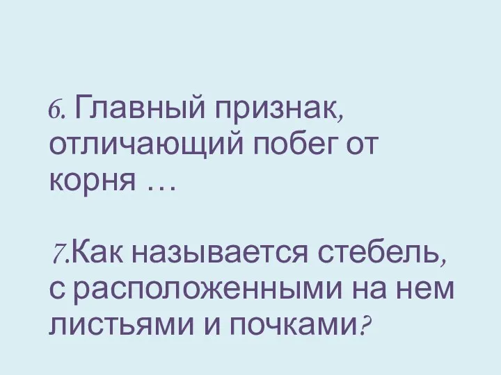 6. Главный признак, отличающий побег от корня … 7.Как называется стебель, с расположенными