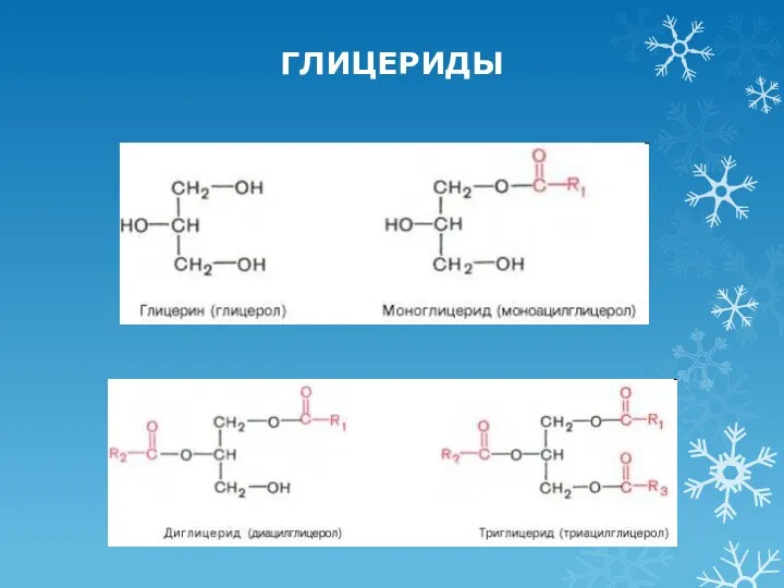 ГЛИЦЕРИДЫ