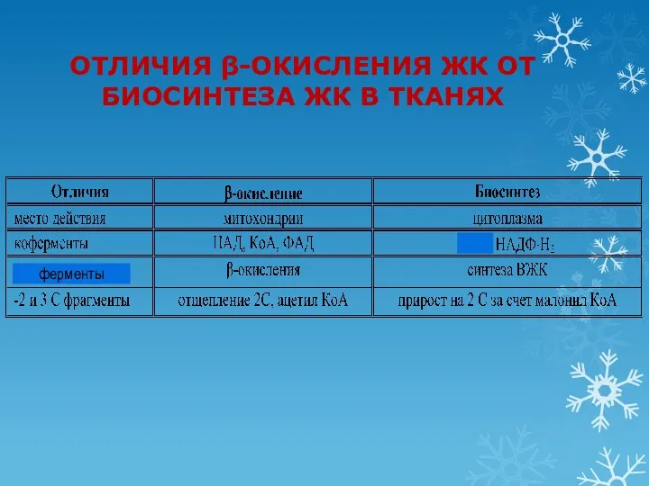 ОТЛИЧИЯ β-ОКИСЛЕНИЯ ЖК ОТ БИОСИНТЕЗА ЖК В ТКАНЯХ ферменты