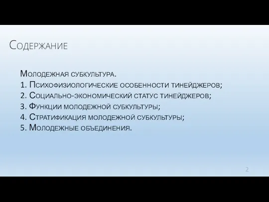 Содержание Молодежная субкультура. 1. Психофизиологические особенности тинейджеров; 2. Социально-экономический статус