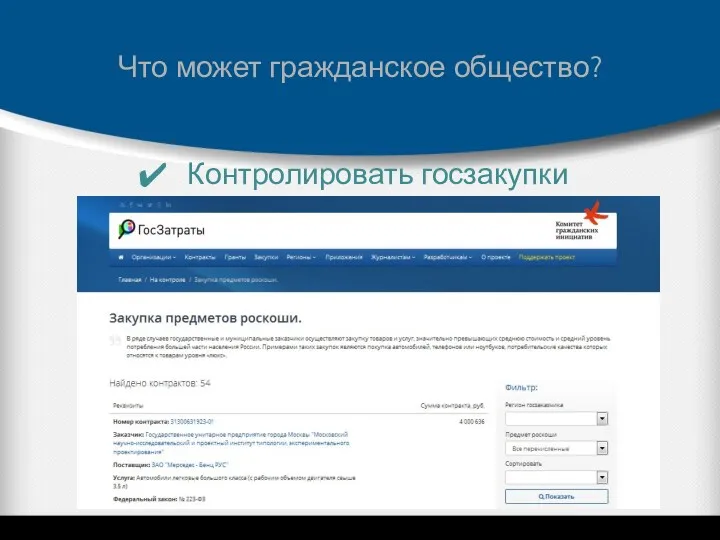 Что может гражданское общество? Контролировать госзакупки