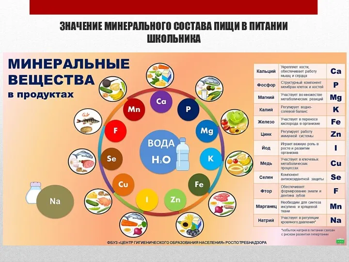 ЗНАЧЕНИЕ МИНЕРАЛЬНОГО СОСТАВА ПИЩИ В ПИТАНИИ ШКОЛЬНИКА