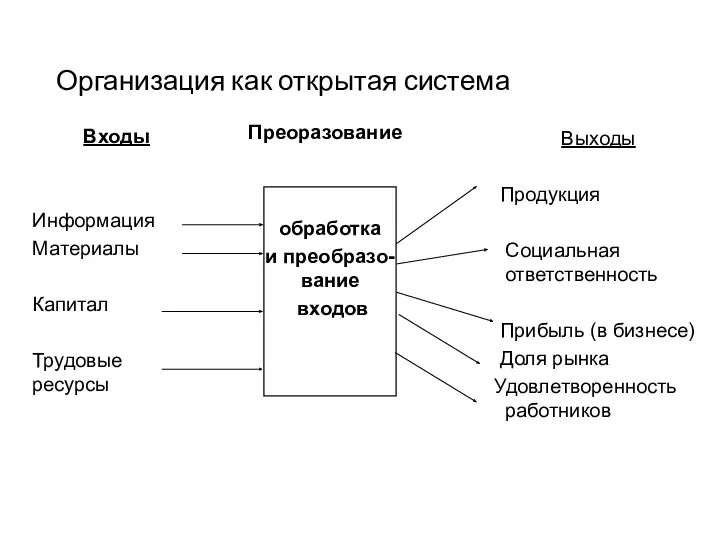 Организация как открытая система