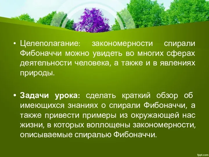 Целеполагание: закономерности спирали Фибоначчи можно увидеть во многих сферах деятельности