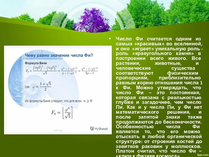 Число Фи считается одним из самых «красивых» во вселенной, и