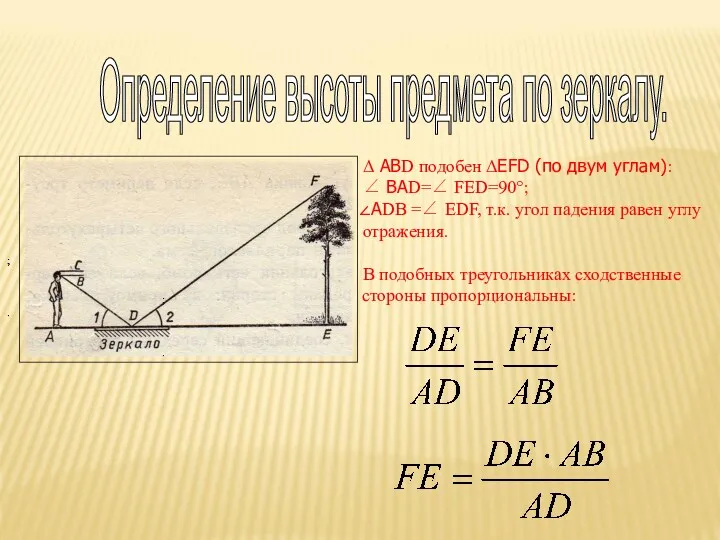 Определение высоты предмета по зеркалу. Δ АВD подобен ΔEFD (по двум углам): ∠