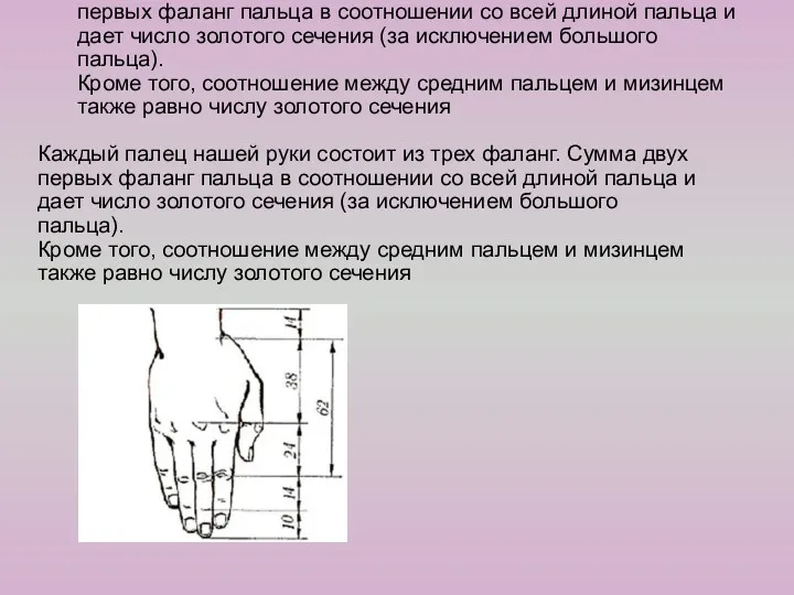 Каждый палец нашей руки состоит из трех фаланг. Сумма двух