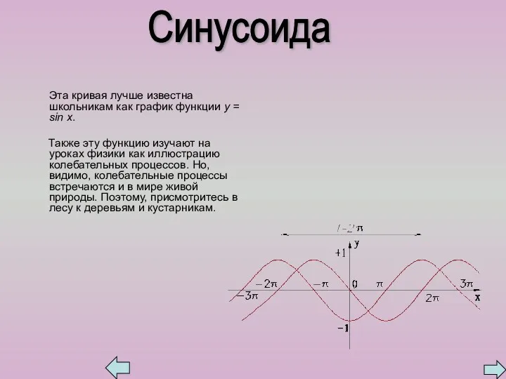 Эта кривая лучше известна школьникам как график функции у =