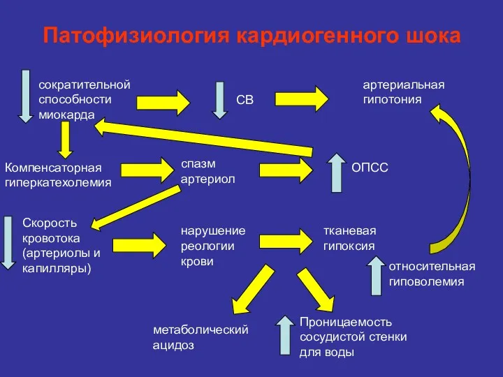 Патофизиология кардиогенного шока сократительной способности миокарда СВ артериальная гипотония Компенсаторная