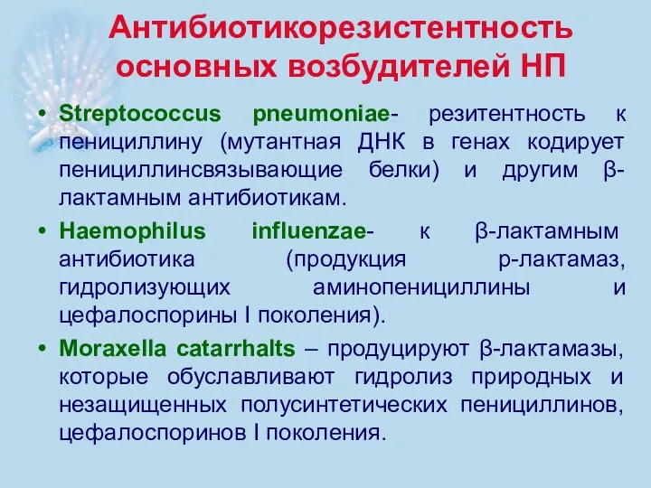 Антибиотикорезистентность основных возбудителей НП Streptococcus pneumoniae- резитентность к пенициллину (мутантная