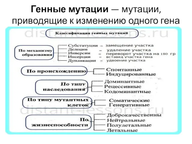 Генные мутации — мутации, приводящие к изменению одного гена