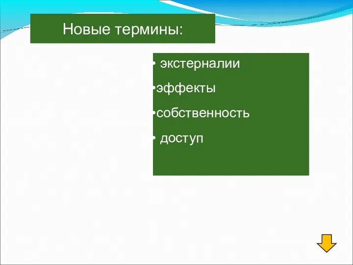 Новые термины: экстерналии эффекты собственность доступ