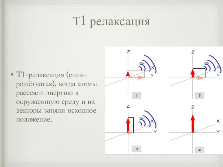 Т1 релаксация T1-релаксация (спин-решётчатая), когда атомы рассеяли энергию в окружающую