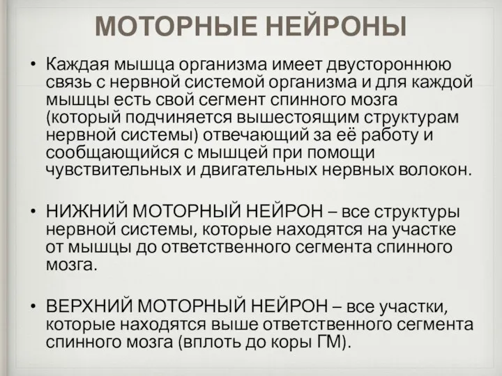 МОТОРНЫЕ НЕЙРОНЫ Каждая мышца организма имеет двустороннюю связь с нервной