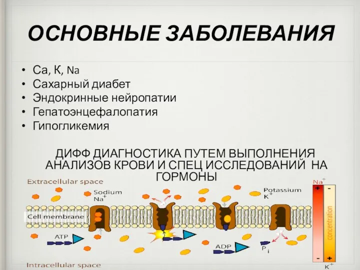 ОСНОВНЫЕ ЗАБОЛЕВАНИЯ Са, К, Na Сахарный диабет Эндокринные нейропатии Гепатоэнцефалопатия