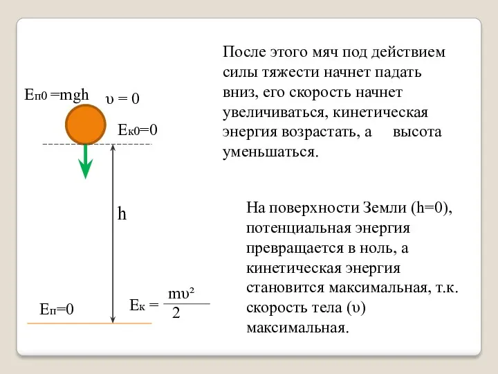 После этого мяч под действием силы тяжести начнет падать вниз,