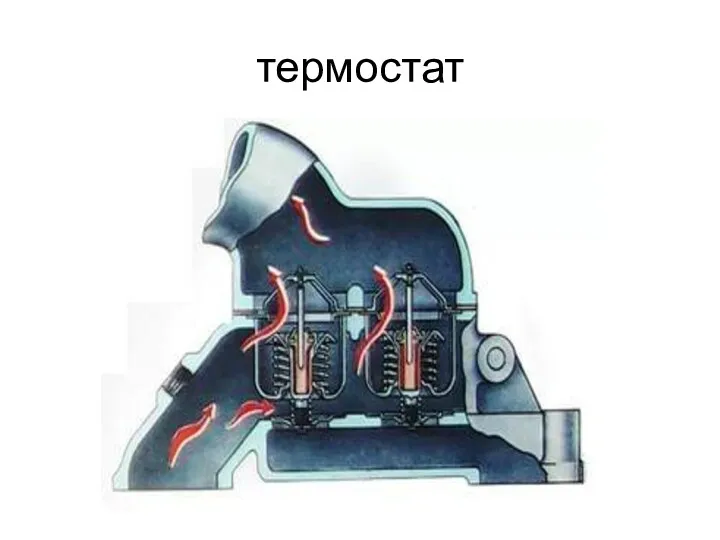 термостат