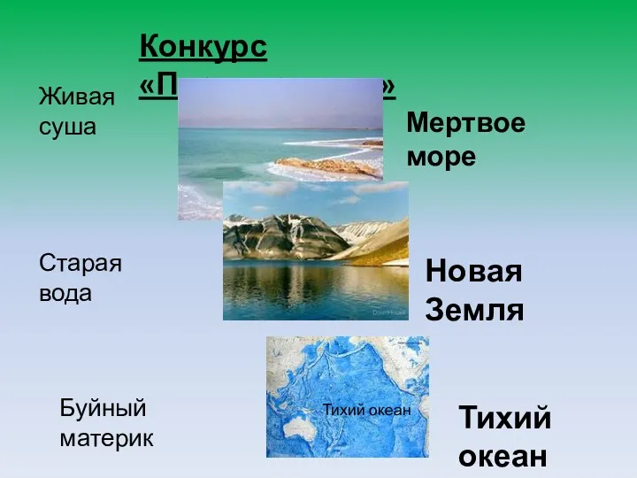 Конкурс «Перевертыши» Живая суша Мертвое море Старая вода Новая Земля Буйный материк Тихий океан Тихий океан