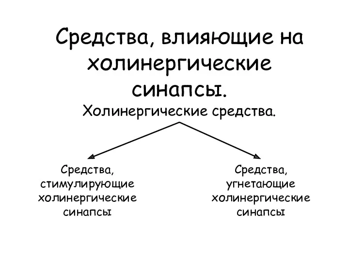 Средства, влияющие на холинергические синапсы. Холинергические средства. Средства, стимулирующие холинергические синапсы Средства, угнетающие холинергические синапсы