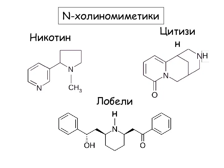 Цитизин Никотин Лобелин N-холиномиметики