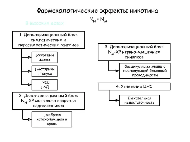 Фармакологические эффекты никотина В высоких дозах NN > NM 1.