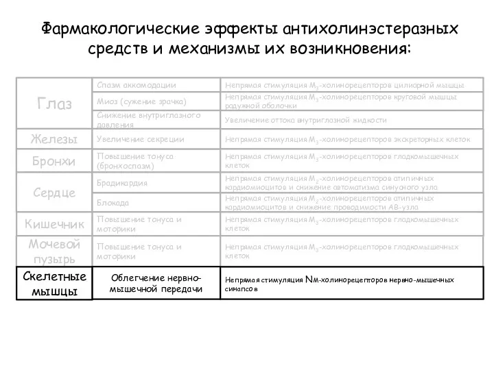 Фармакологические эффекты антихолинэстеразных средств и механизмы их возникновения: Глаз Спазм