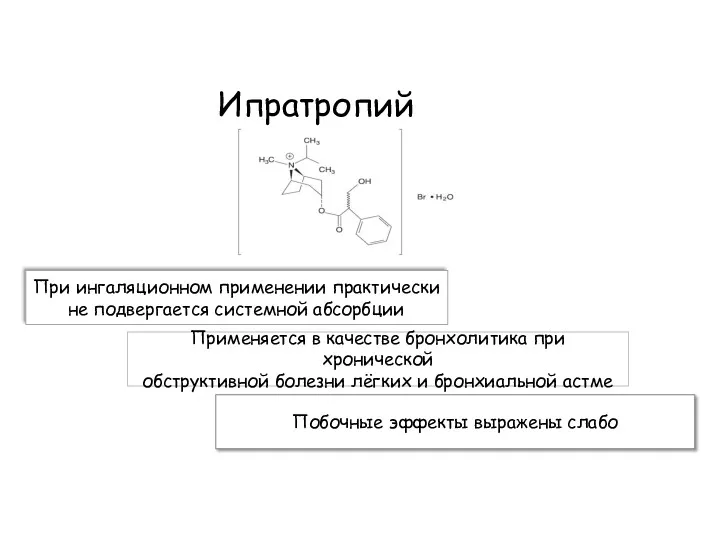 Ипратропий При ингаляционном применении практически не подвергается системной абсорбции Применяется в качестве бронхолитика