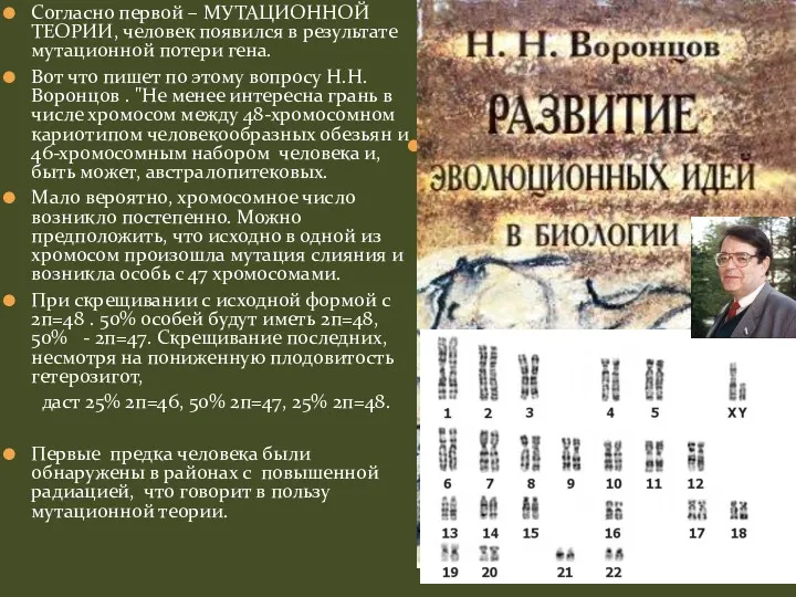 Согласно первой – МУТАЦИОННОЙ ТЕОРИИ, человек появился в результате мутационной