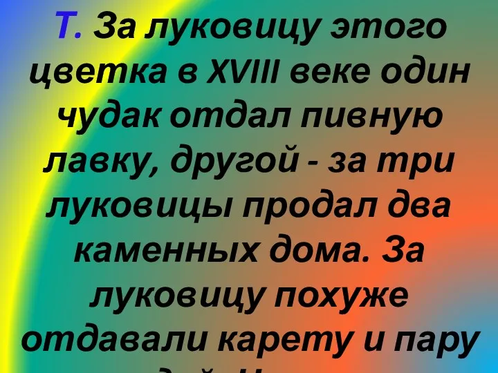 Т. За луковицу этого цветка в XVIII веке один чудак