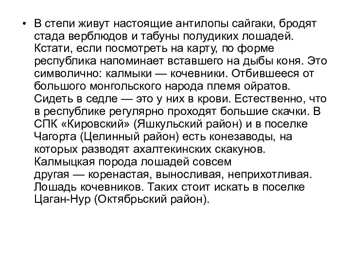 В степи живут настоящие антилопы сайгаки, бродят стада верблюдов и