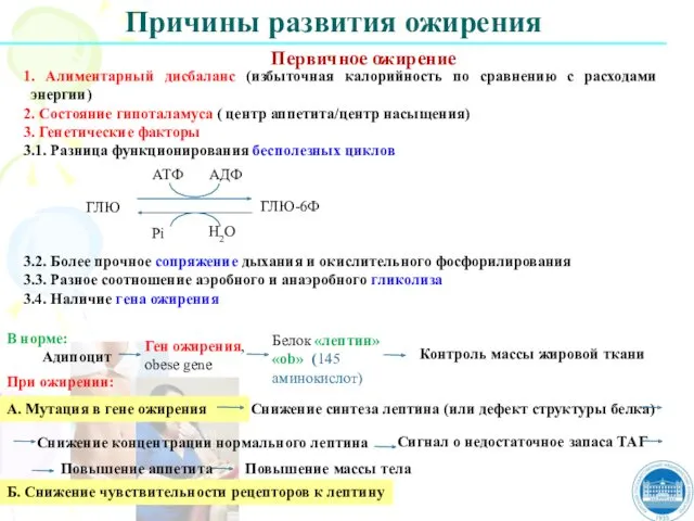 Причины развития ожирения Первичное ожирение 1. Алиментарный дисбаланс (избыточная калорийность по сравнению с