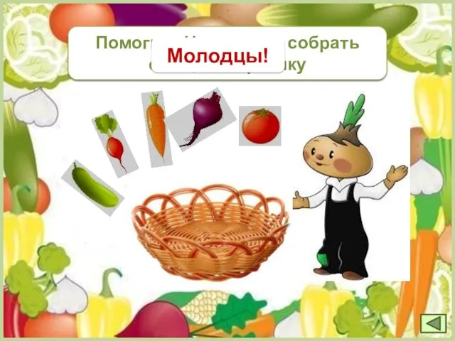 Помогите Чиполлино собрать овощи в корзинку Молодцы!