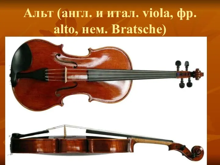 Альт (англ. и итал. viola, фр. alto, нем. Bratsche)