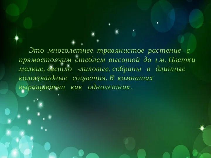 Это многолетнее травянистое растение с прямостоячим стеблем высотой до 1